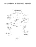 Identification of Stabilizers of Multimeric Proteins diagram and image