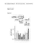 MICRO-RNA INHIBITORS AND THEIR USES IN DISEASE diagram and image