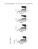 MICRO-RNA INHIBITORS AND THEIR USES IN DISEASE diagram and image