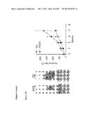 MICRO-RNA INHIBITORS AND THEIR USES IN DISEASE diagram and image