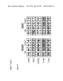 MICRO-RNA INHIBITORS AND THEIR USES IN DISEASE diagram and image