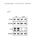 MICRO-RNA INHIBITORS AND THEIR USES IN DISEASE diagram and image