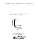 METHODS FOR DIAGNOSING AND TREATING ONCOGENIC KRAS-ASSOCIATED CANCER diagram and image