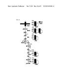 METHODS FOR DIAGNOSING AND TREATING ONCOGENIC KRAS-ASSOCIATED CANCER diagram and image