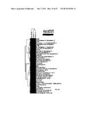 METHODS FOR DIAGNOSING AND TREATING ONCOGENIC KRAS-ASSOCIATED CANCER diagram and image