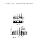 METHODS FOR DIAGNOSING AND TREATING ONCOGENIC KRAS-ASSOCIATED CANCER diagram and image