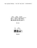 METHODS FOR DIAGNOSING AND TREATING ONCOGENIC KRAS-ASSOCIATED CANCER diagram and image