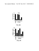 METHODS FOR DIAGNOSING AND TREATING ONCOGENIC KRAS-ASSOCIATED CANCER diagram and image