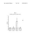 TREATMENT OF TUMOR PROTEIN 63 (P63) RELATED DISEASES BY INHIBITION OF     NATURAL ANTISENSE TRANSCRIPT TO P63 diagram and image