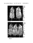 Pulmonary Delivery of Messenger RNA diagram and image