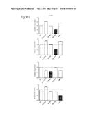 METHOD FOR PREDICTING RECURRENCE OF MELANOMA USING miRNA ALTERATIONS diagram and image