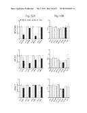 METHOD FOR PREDICTING RECURRENCE OF MELANOMA USING miRNA ALTERATIONS diagram and image