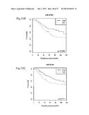 METHOD FOR PREDICTING RECURRENCE OF MELANOMA USING miRNA ALTERATIONS diagram and image