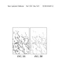 COATING COMPOSITIONS COMPRISING POLYMERIZABLE NON-IONIC SURFACTANT     EXHIBITING REDUCED FINGERPRINT VISIBILITY diagram and image