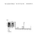 Highly Glycosylated Long-Acting Human Growth Hormone Protein and     Production Method for Same diagram and image