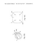 COAXIAL DUAL FUNCTION PROBE AND METHOD OF USE diagram and image