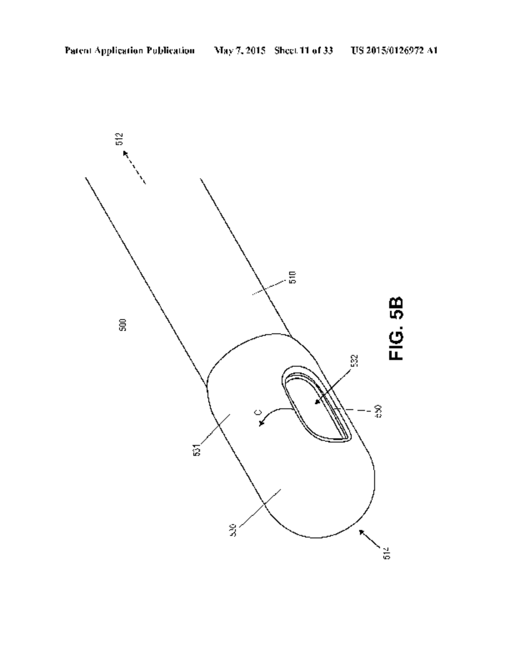 CATHETER DEVICE - diagram, schematic, and image 12