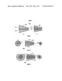 FIBER LASER SYSTEM FOR MEDICAL APPLICATIONS diagram and image