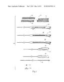 ENDOVASCULAR ANEURYSM DEVICES, SYSTEMS, AND METHODS diagram and image