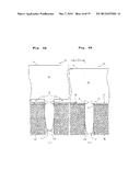 LIVING BODY STIMULATING ELECTRODE, LIVING BODY STIMULATING ELECTRODE     APPARATUS, AND METHOD FOR PRODUCING LIVING BODY STIMULATING ELECTRODE diagram and image