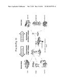 System, Method, and Apparatus for Electric Power Grid and Network     Management of Grid Elements diagram and image