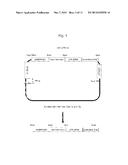 UROKINASE-TYPE PLASMINOGEN ACTIVATOR TRANSGENIC MOUSE diagram and image