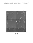 Pretreatment Method for Reduction and/or Elimination of Basal Plane     Dislocations Close to Epilayer/Substrate Interface in Growth of SiC     Epitaxial Films diagram and image