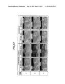 PLASMA PROCESSING APPARATUS diagram and image