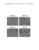 HIGH EFFICIENCY DISPOSABLE CELLULOSIC WIPER diagram and image