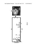 ELECTROCHEMICAL SENSING NANOCOMPOSITE diagram and image