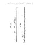 SEMICONDUCTOR ELEMENT diagram and image