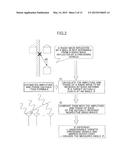 RADAR APPARATUS AND ANGLE VERIFICATION METHOD diagram and image