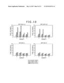 VIDEO ANALYSIS DEVICE, VIDEO ANALYSIS METHOD, AND POINT-OF-GAZE DISPLAY     SYSTEM diagram and image