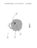 SEGMENTATION OF SURROUND VIEW DATA diagram and image