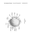 ENHANCED OPTICAL AND PERCEPTUAL DIGITAL EYEWEAR diagram and image