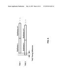 Synchronization in Base Stations and Wireless Networks diagram and image