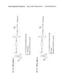 Compositions and Imaging Methods Comprising Detectably Labeled     Phosphatidylethanolamine-Binding Peptides diagram and image