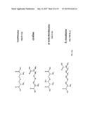 Compositions and Imaging Methods Comprising Detectably Labeled     Phosphatidylethanolamine-Binding Peptides diagram and image