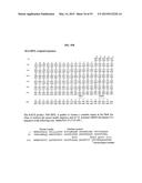 Compositions and Imaging Methods Comprising Detectably Labeled     Phosphatidylethanolamine-Binding Peptides diagram and image