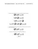 METHODS AND COMPOSITIONS FOR POSITRON EMISSION TOMOGRAPHY MYOCARDIAL     PERFUSION IMAGING diagram and image