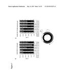 COMBINATION THERAPY INVOLVING ANTIBODIES AGAINST CLAUDIN 18.2 FOR     TREATMENT OF CANCER diagram and image