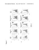 COMBINATION THERAPY INVOLVING ANTIBODIES AGAINST CLAUDIN 18.2 FOR     TREATMENT OF CANCER diagram and image