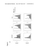 COMBINATION THERAPY INVOLVING ANTIBODIES AGAINST CLAUDIN 18.2 FOR     TREATMENT OF CANCER diagram and image