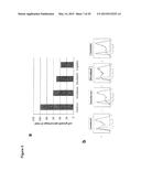 COMBINATION THERAPY INVOLVING ANTIBODIES AGAINST CLAUDIN 18.2 FOR     TREATMENT OF CANCER diagram and image