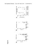 COMBINATION THERAPY INVOLVING ANTIBODIES AGAINST CLAUDIN 18.2 FOR     TREATMENT OF CANCER diagram and image