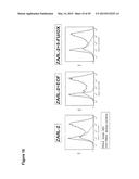 COMBINATION THERAPY INVOLVING ANTIBODIES AGAINST CLAUDIN 18.2 FOR     TREATMENT OF CANCER diagram and image