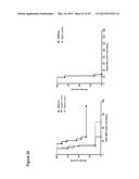 COMBINATION THERAPY INVOLVING ANTIBODIES AGAINST CLAUDIN 18.2 FOR     TREATMENT OF CANCER diagram and image