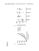 COMBINATION THERAPY INVOLVING ANTIBODIES AGAINST CLAUDIN 18.2 FOR     TREATMENT OF CANCER diagram and image