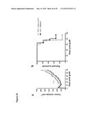 COMBINATION THERAPY INVOLVING ANTIBODIES AGAINST CLAUDIN 18.2 FOR     TREATMENT OF CANCER diagram and image