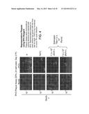 Methods, Compounds and Compositions for Treatment of Influenza and     Parainfluenza Patients diagram and image